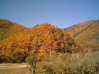 e0075015_2591553.jpg