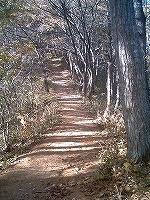 e0075015_313433.jpg