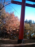 e0075015_382155.jpg