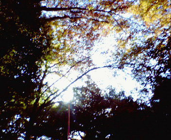 b0052816_23333867.jpg