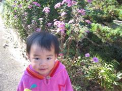 a0023043_15205316.jpg