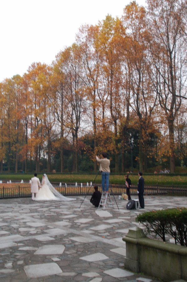 11.11.2005　秋の中央公園　その１_e0009147_21464075.jpg