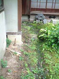 c0074553_2174559.jpg