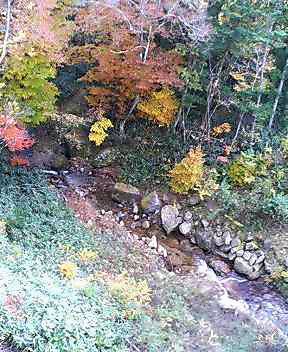 戸渡の紅葉_d0027486_14104888.jpg