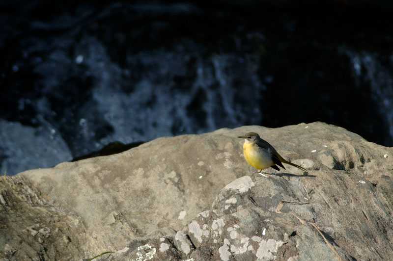 c0034787_20421728.jpg