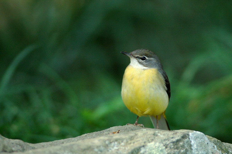 c0034787_2052530.jpg