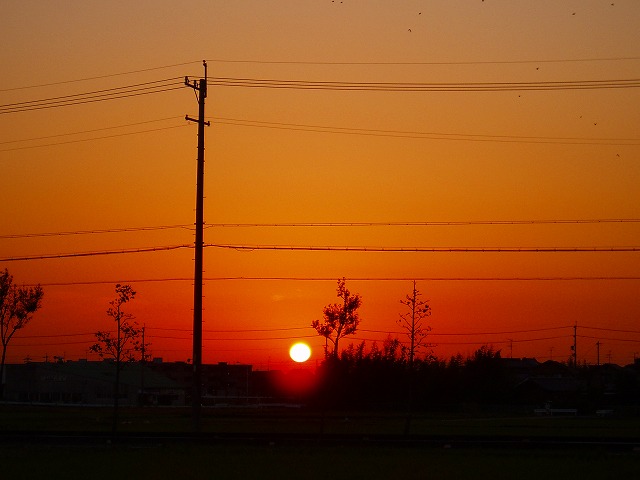 　　　　　　　　　　今日の夕陽。。。_e0029692_2324030.jpg