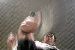 a0004993_1254431.gif