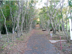 c0036203_19434235.jpg