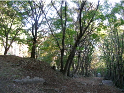 c0036203_1959695.jpg