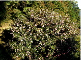 c0036203_20173394.jpg