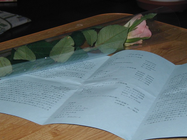 c0040208_1647231.jpg