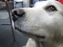 e0087511_1243799.jpg