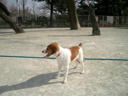 c0065512_23342316.jpg