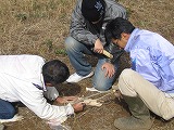 b0026615_15454966.jpg