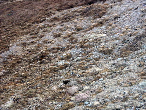 d0045626_0102027.jpg