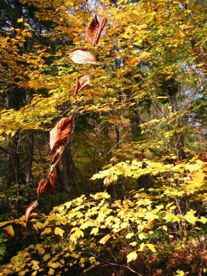e0030627_2230135.jpg