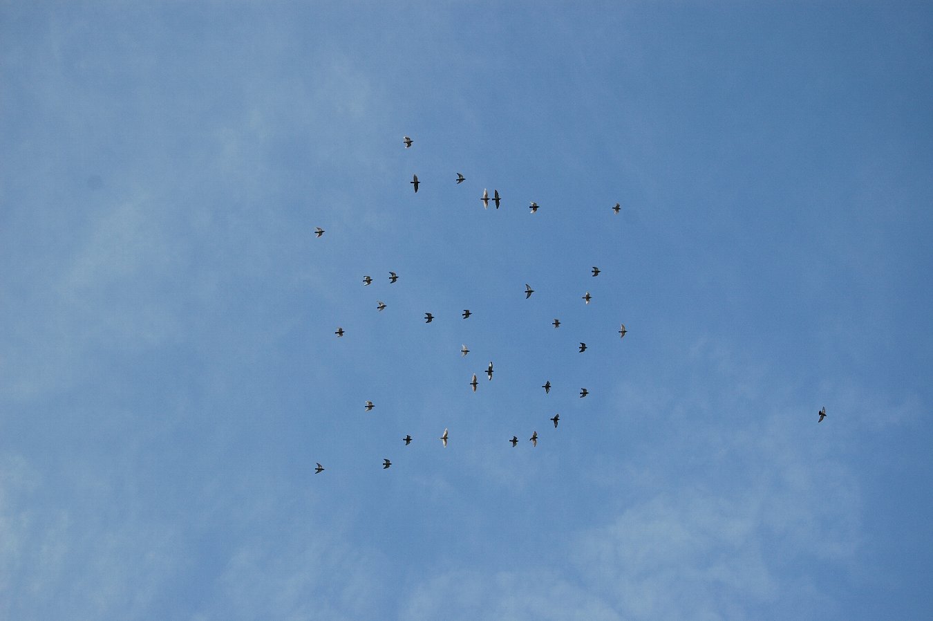 b0069128_02224.jpg
