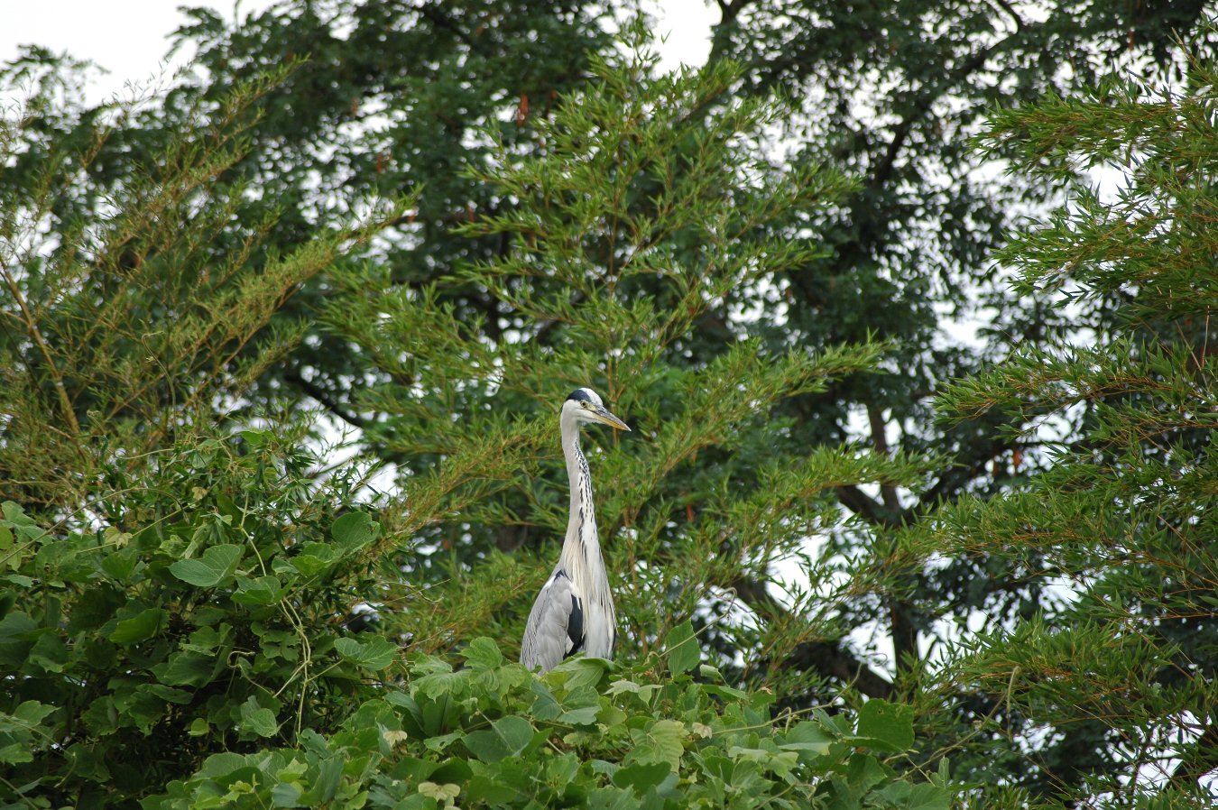 b0069128_06366.jpg