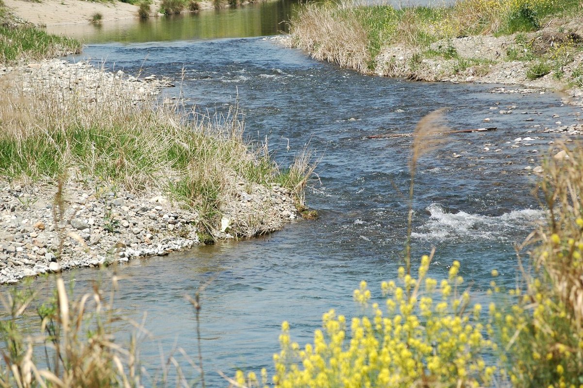 b0069128_1355913.jpg