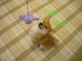 e0077157_1355858.jpg