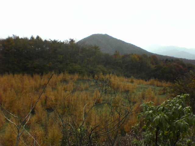 e0032163_2323652.jpg