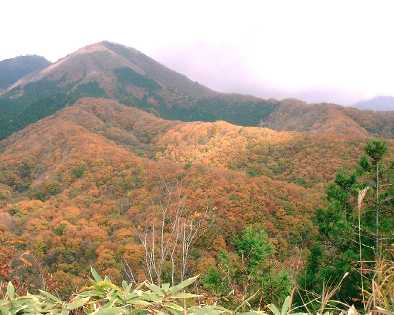 大山小旅行～前編～_d0028072_22262664.jpg