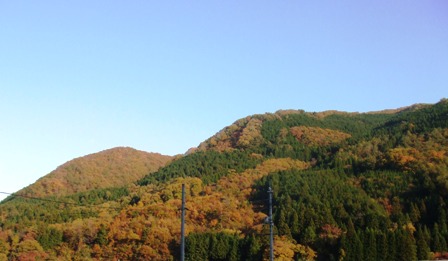 a0047577_23374385.jpg