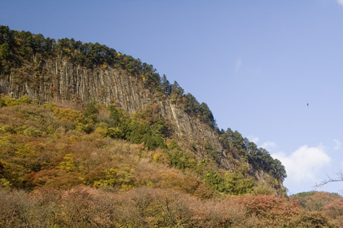 a0044202_6305366.jpg