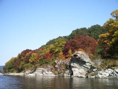 a0032004_223544.jpg