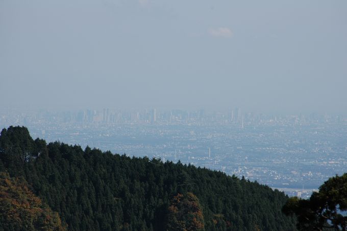 c0051105_0434941.jpg