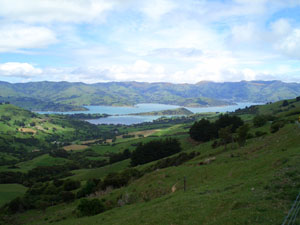 b0040606_17392387.jpg