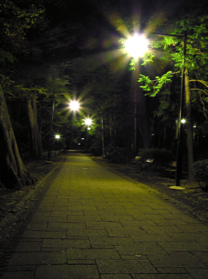 夜の井の頭公園_e0066210_2058546.jpg