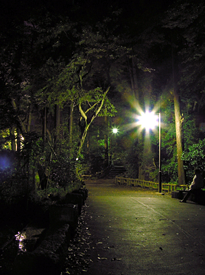 夜の井の頭公園_e0066210_2111390.jpg