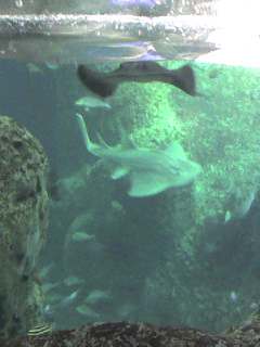 b0067914_21475686.jpg