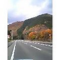 d0068023_0505091.jpg
