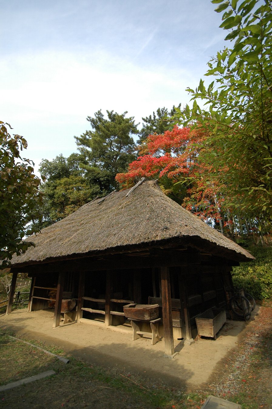 b0069128_16224577.jpg
