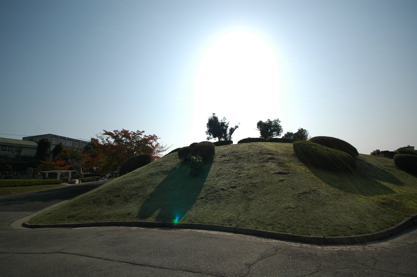 b0069128_16411041.jpg