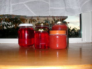 e0004756_20205923.jpg