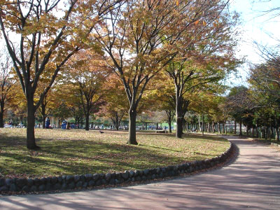 b0001465_16495369.jpg