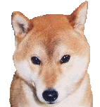 e0017668_12131731.gif