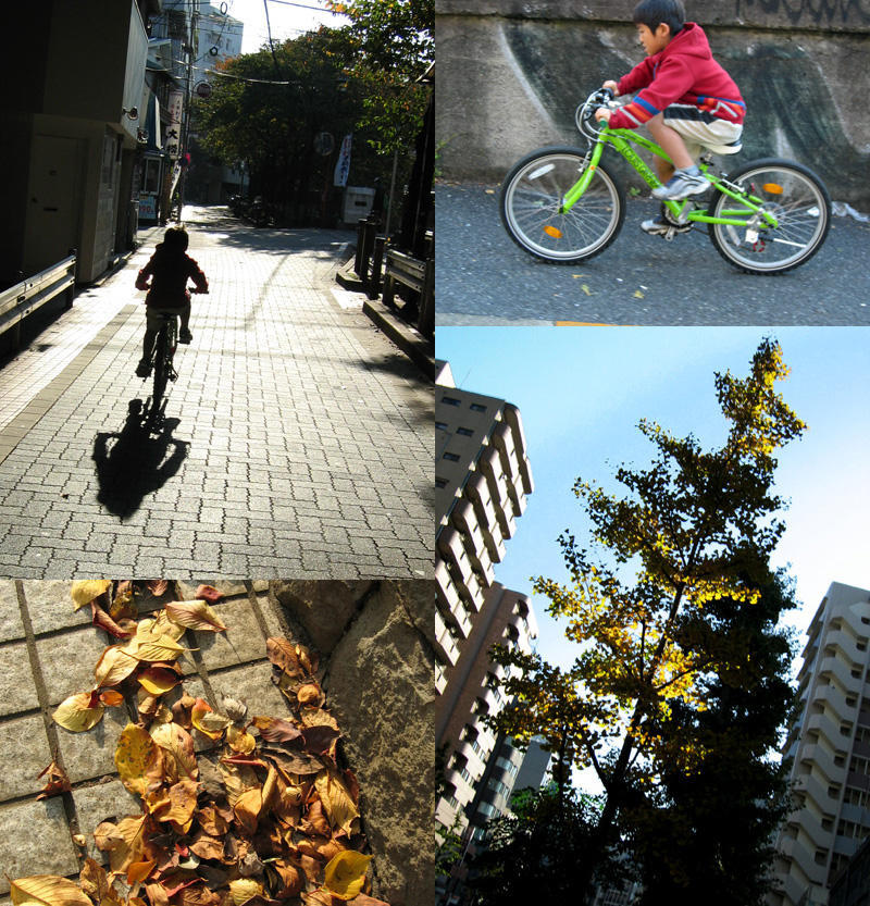 Practice of bicycle_a0002672_15174723.jpg