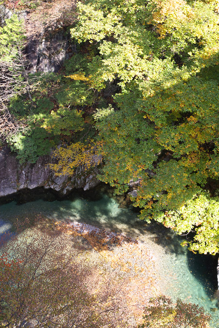 c0054876_71171.jpg