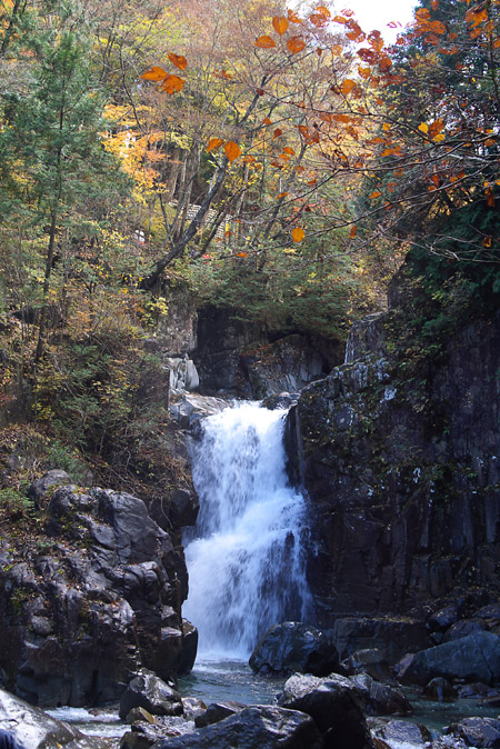 c0054876_7544.jpg