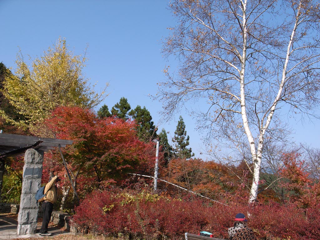e0071178_21543716.jpg