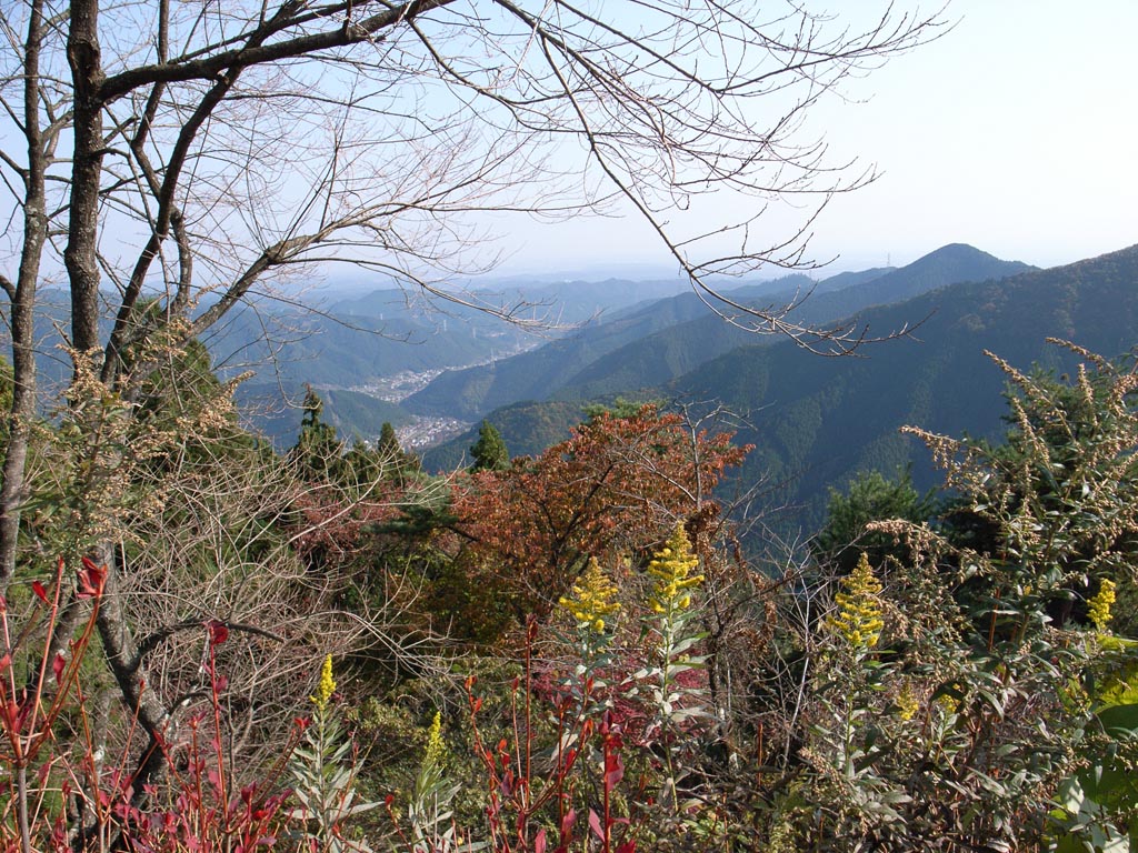 e0071178_2202026.jpg