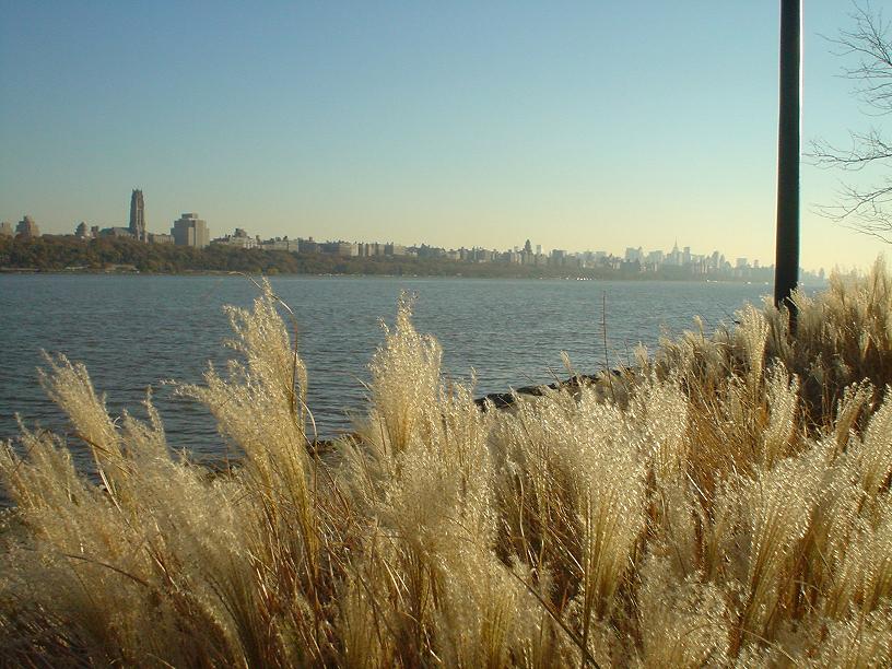 c0062495_8365690.jpg