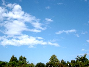 a0040103_1954498.jpg