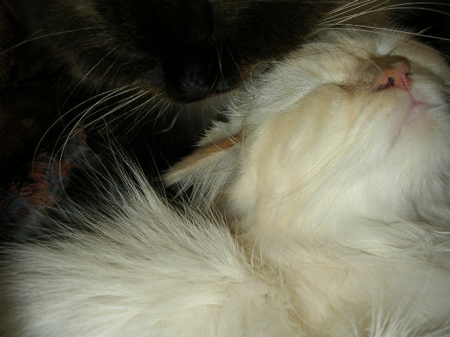 b0054904_2112999.jpg