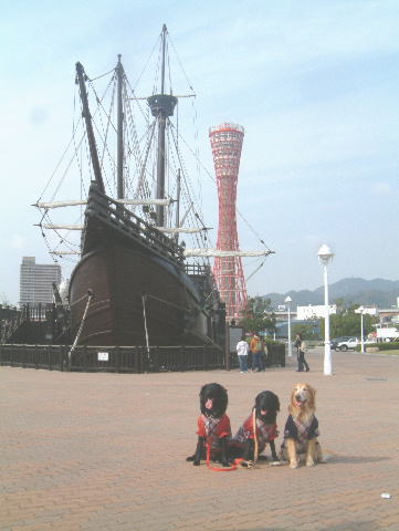 c0017311_1357746.jpg